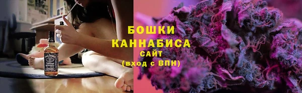 прущий лед Бородино