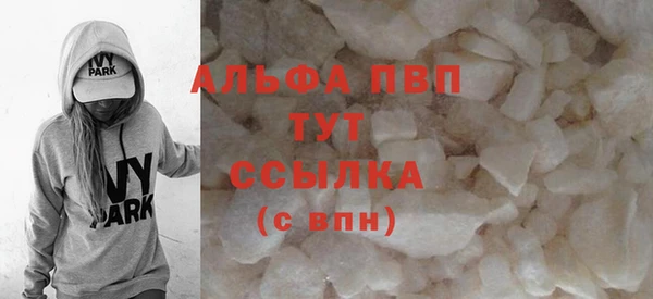 прущий лед Бородино