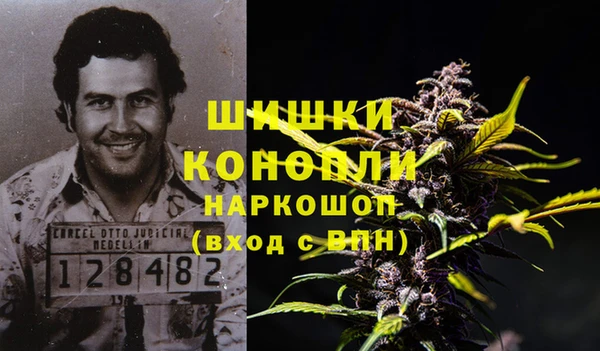 спиды Бронницы