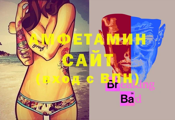 прущий лед Бородино