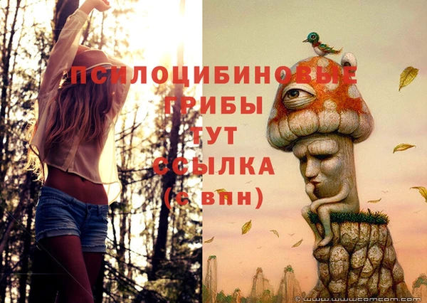 прущий лед Бородино