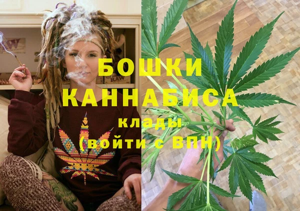 спиды Бронницы