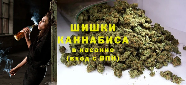 прущий лед Бородино