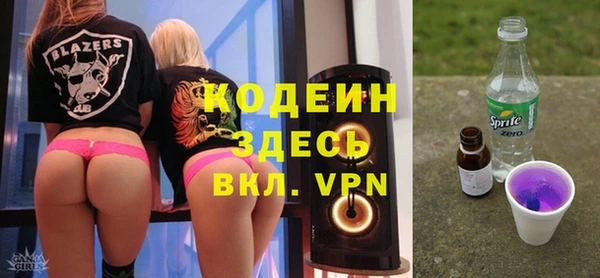 прущий лед Бородино