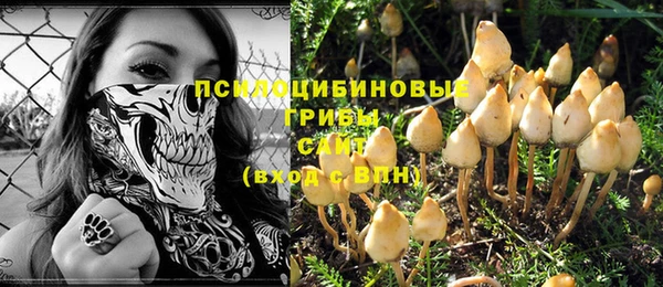 спиды Бронницы