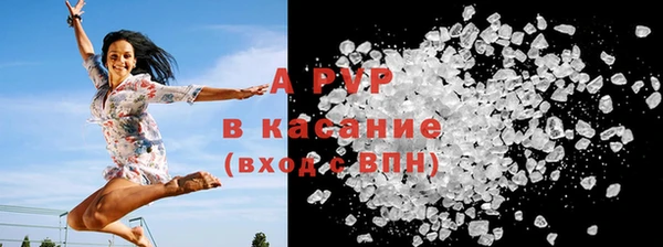прущий лед Бородино