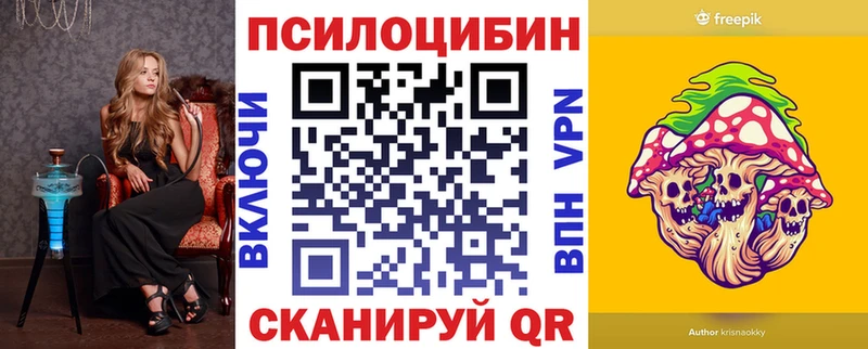 МЕГА   Ростов  Галлюциногенные грибы Psilocybe 